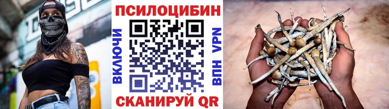 Галлюциногенные грибы GOLDEN TEACHER  Купить закладки  Ейск 